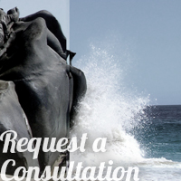 Request a Consultation
